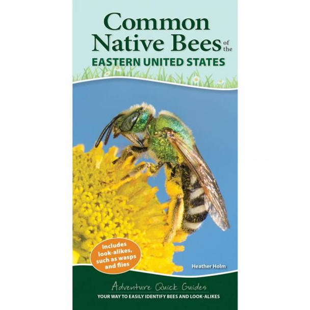 OakridgeStores.com | Adventure Keen - Common Native Bees of Eastern United States - Identification - AP51582 9781647551582