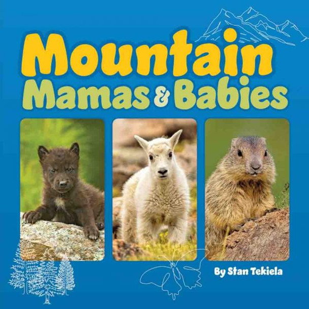 OakridgeStores.com | Adventure Keen - Mountain Mamas & Babies - Nature Board Book for - AP53593 9781647553593
