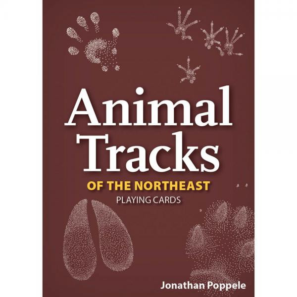 OakridgeStores.com | Adventure Keen - Northeast Animal Tracks Playing Cards - Wildlife-Themed - AP53883 9781647553883