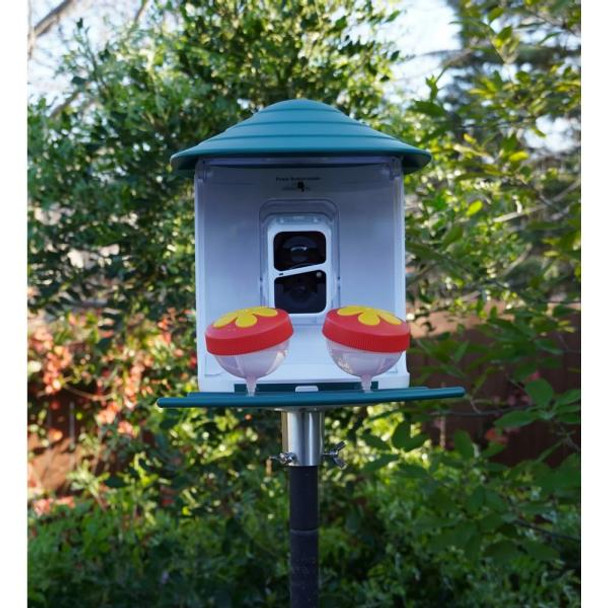 OakridgeStores.com | Beakview Camera - Hummingbird Feeder Attachment - 2 Flower Feeder - For - BVHUM2 784300769279