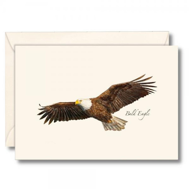 OakridgeStores.com | Earth Sky + Water - Bald Eagle Notecards - Set of 8 with Envelopes - LEWERSNC212 740620906411