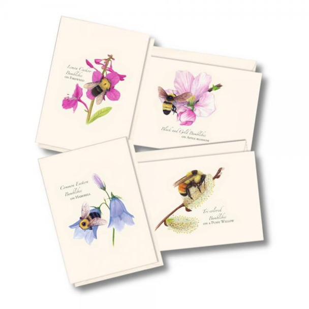 OakridgeStores.com | Earth Sky + Water - Spring Bee Assorted Notecards - Set of 8 - LEWERSNC248 740620920431