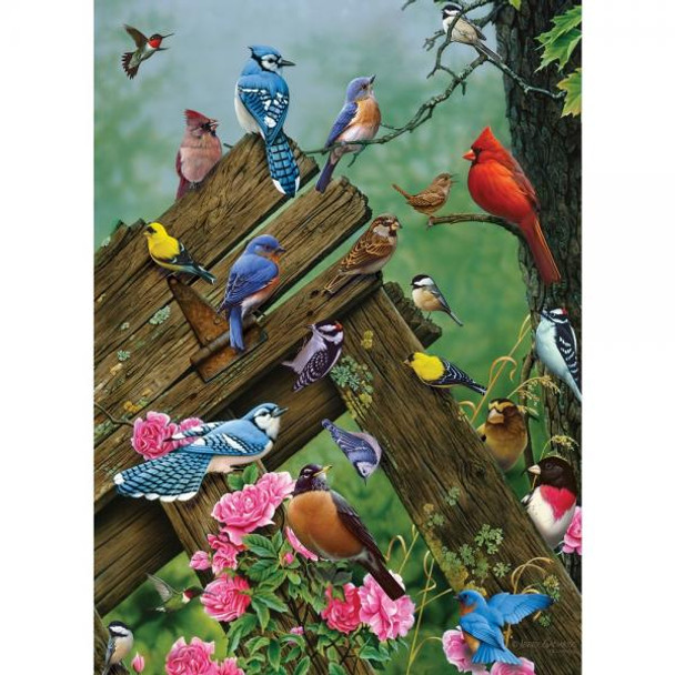OakridgeStores.com | Cobble Hill - Birds of the Forest - 1000 Piece Puzzle - OMP40167 625012401678