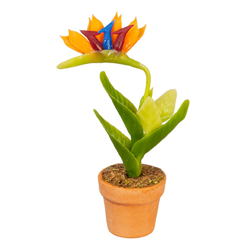 OakridgeStores.com | Aztec - Orange Bird of Paradise - 1" Scale Dollhouse Miniature Plant - G6401