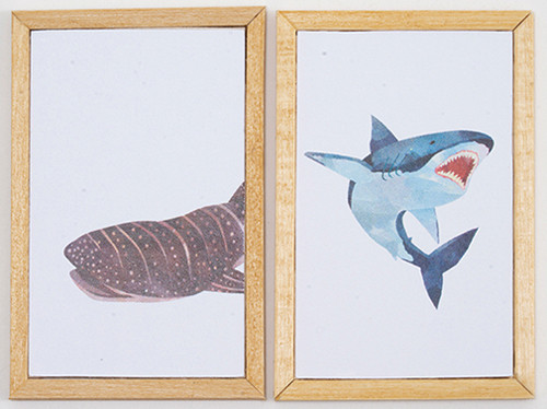 OakridgeStores.com | KC Pictures - Shark Picture Set B - 2 Pieces - 1 Scale Dollhouse Miniature - KF54