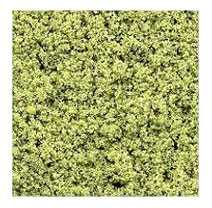 OakridgeStores.com | Model Builders Supply - Dollhouse Traditional (1:12) Fine Foliage/Turf - Pale Green - LFS3PG