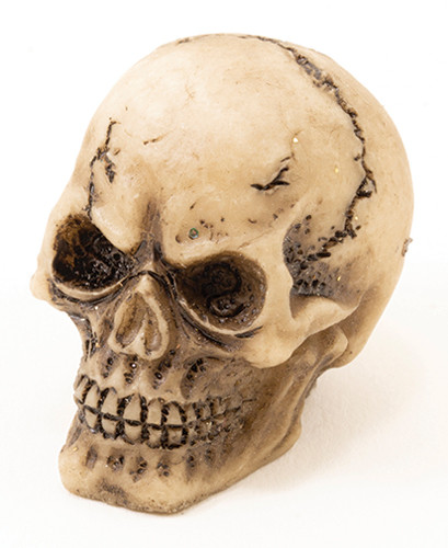 OakridgeStores.com | Multi Minis - Mini Skull - Halloween Decor, 1 Inch - 1:12 Scale Dollhouse Miniature - 5631 749939623484