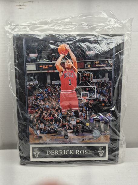 RESALE SHOP - Chicago Bulls Derrick Rose Plaque -- Brand New -- 10 1/2 X 13 - cnsg-matt-drose