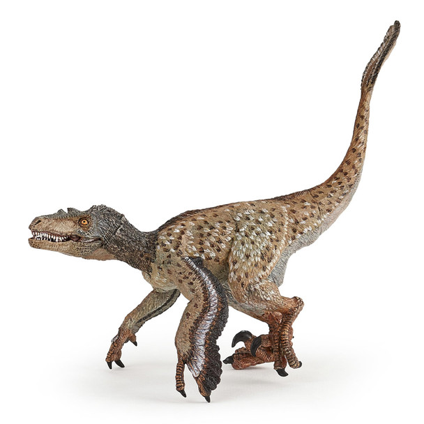 OakridgeStores.com | Papo - Feathered Velociraptor Figurine - Hand-Painted Dinosaur Toy for Ages 3+ - Dinosaurs Collection - 55086 3465000550868
