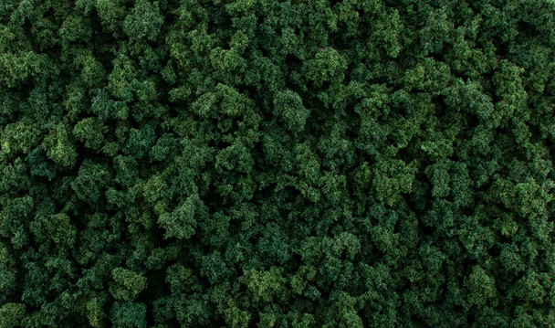 OakridgeStores.com | Woodland Scenics - All Scales Dark Green Foliage Clumps - Ground Cover - G6463 724771064633