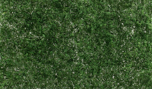 OakridgeStores.com | Woodland Scenics - Super Foliage - Dark Green - All Game Terrain - 32 in2 - G6494 724771064947