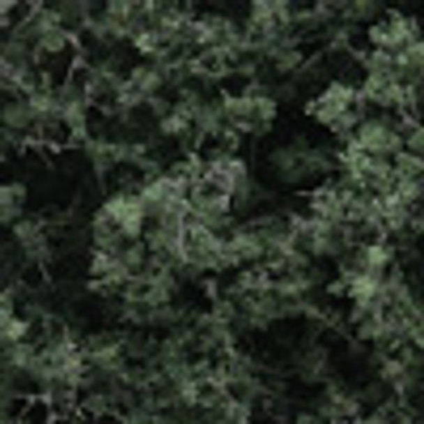 WOODLAND SCENICS - Fine-Leaf Foliage - Dark Green (F1130) 724771011309