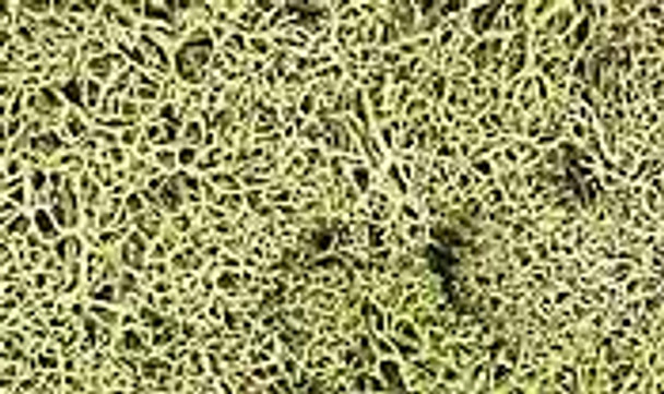 WOODLAND SCENICS - Lichen Sp. Green (L161) 724771001614