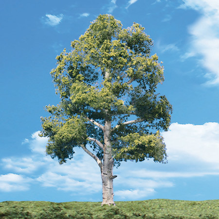 WOODLAND SCENICS - Classic Trees - Waters Edge 8-9" (2 pack of scale miniature trees) (TR3539) 724771035398