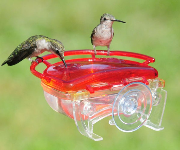 ASPECTS - The Gem Window Hummingbird Feeder (ASPECTS437) 026451124379