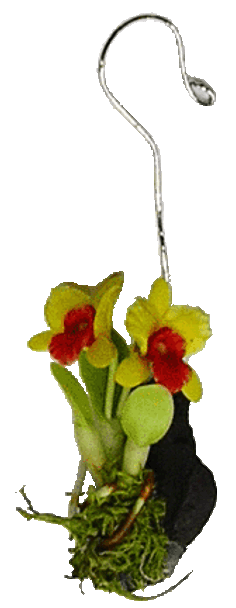 BRIGHT DELIGHTS Hanging Orchid - Red & Yellow - 1 Inch Scale Miniature (A061)
