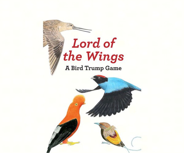 CHRONICLE BOOKS - Lord of the Wings Bird Trivia Game (CB9781780679143) 9781780679143