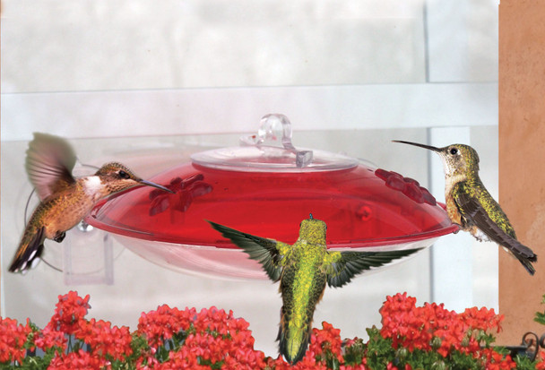 DROLL YANKEES - Window HummingBird Feeder (DYWH3) 021964104665