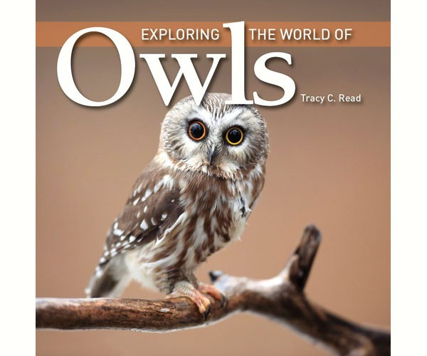 FIREFLY BOOKS - Exploring the World of Owls Book FIRE1554079578 9781554079575