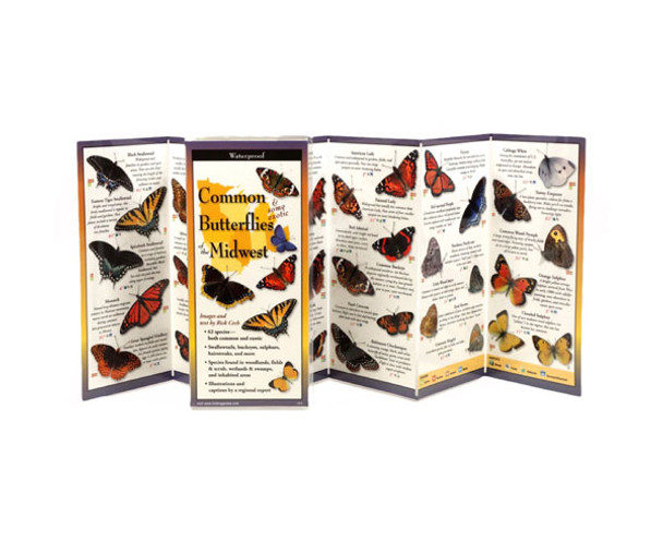 EARTH SKY + WATER - Common Butterflies of the Midwest Pocket Guide (LEWERSBUW119) 740620902192