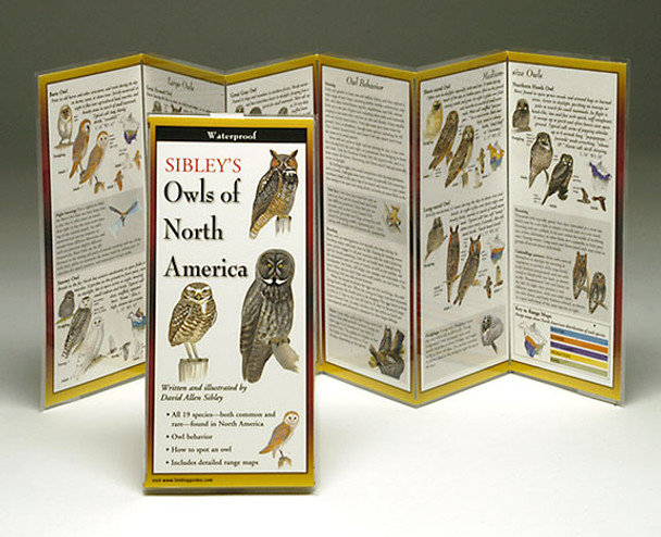 EARTH SKY + WATER - Sibley's Owls North America - Field Guide Book (LEWERSOWL114) 740620901164