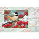 Greeting Cards - Nature, Wildlife & Audubon