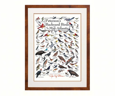 Buy the Earth Sky + Water (Lewers) - Peterson's Backyard Birds Of Mid ...