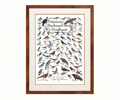 Buy the Earth Sky + Water (Lewers) - Peterson's Backyard Birds Of The ...