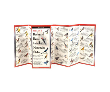 Buy the Earth Sky + Water (Lewers) - Sibley's Backyard Birds Of Rocky ...