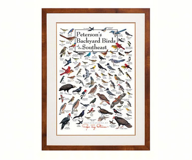 Buy the Earth Sky + Water (Lewers) - Peterson's Backyard Birds Of ...