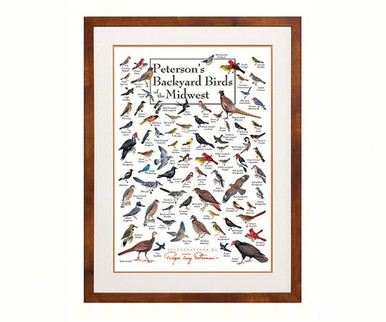 Buy the Earth Sky + Water (Lewers) - Peterson's Backyard Birds Of The ...