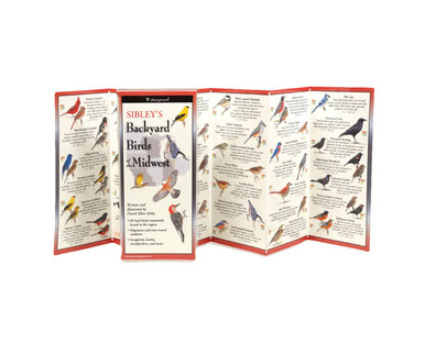 Buy the Earth Sky + Water (Lewers) - Sibley's Backyard Birds Of The ...