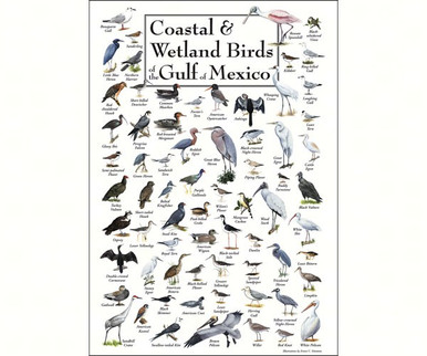 Buy the Earth Sky + Water (Lewers) - Coastal & Wetland Birds Of Gulf Of ...