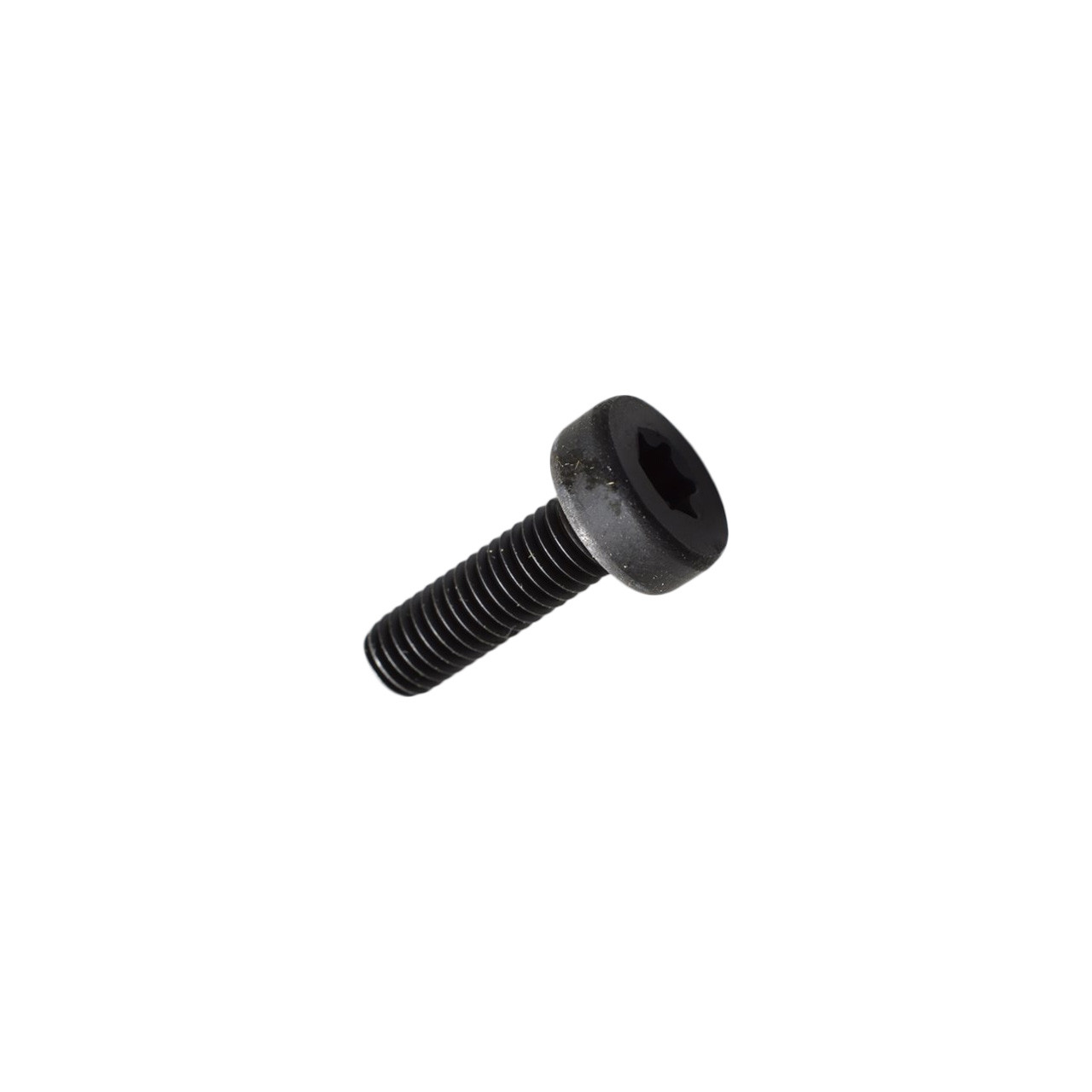 ECHO V805000250 - BOLT TORX 5X16 | Genuine Part