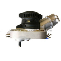ECHO 205055001 - MOTOR AND GEAR BOX ASSY CDST - Image 4