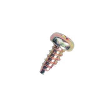 V203002550 - SCREW 5X12 T27 NYLON PATCH - ECHO Genuine OEM Part