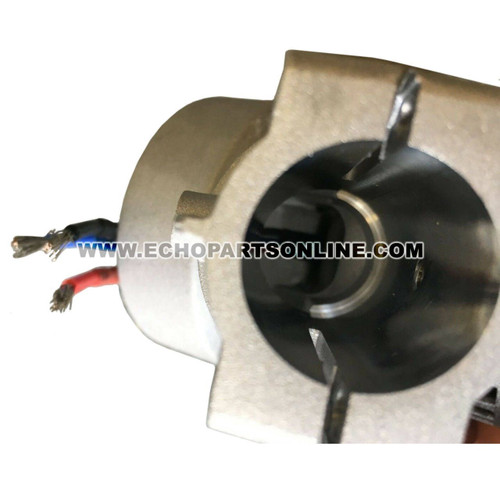 ECHO 205055001 - MOTOR AND GEAR BOX ASSY CDST - Image 5