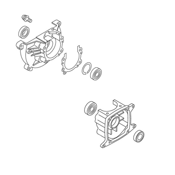 ECHO 10020457031 - CRANKCASE KIT