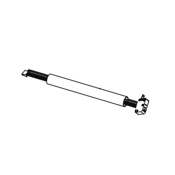 ECHO 206699001 - SWITCH AND WIRE ASSY CDST