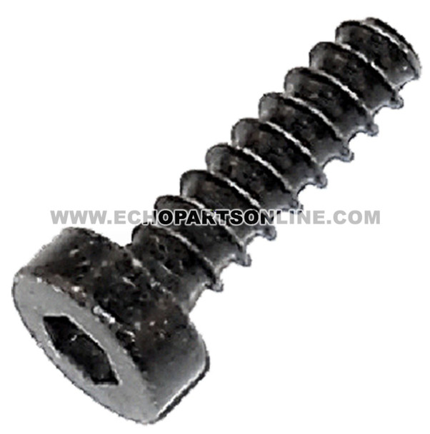 ECHO V253000210 - SCREW M5X18