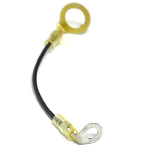 ECHO V485003490 - LEAD