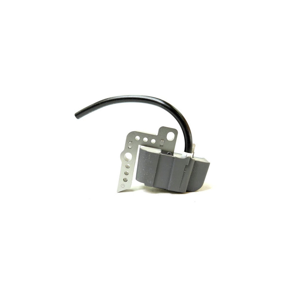 ᐢ. ̫.ᐢ Amazon.com: Ignition Coil Module Compatible with Toro Titan