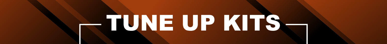 Tune Up Kits