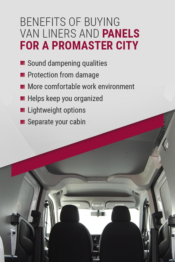 ram promaster city wall panels