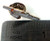 STAR TREK ENTERPRISE Classic Ship N.C.C. 1701 - UK Imported Small Enamel Lapel Pin