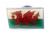 Welsh Wales Flag - UK Imported Enamel Pin - United Kingdom - England