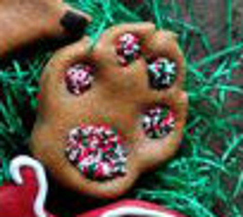 Paw (Yogurt with red/green sprinkles) Case of 12