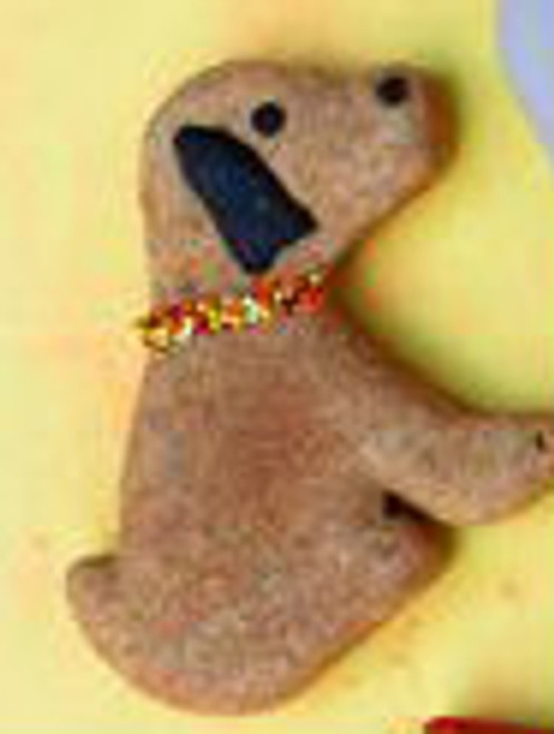 Dog has a collar with Fall nonpareil colors - yellow, red, orange and white.