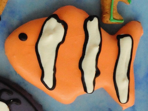Clown Fish - Case of 12