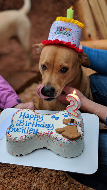 Chewy Vuiton Happy Barkday Cake – Sandy Paws Collar Co